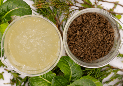 Biogel Soil Amendment with two samples, one of gel and one of soil, surrounded by green leaves