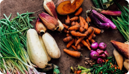 A variety of fresh vegetables including carrots, eggplants, beans, and other produce on a rustic cloth background.