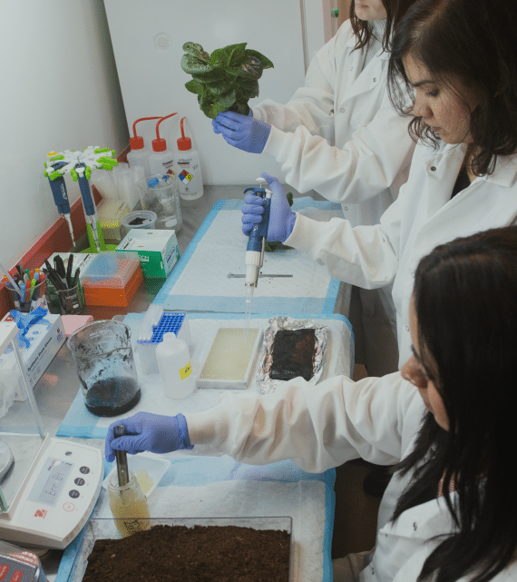 Lab technicians in white coats actively developing biogels and other sustainable products with scientific instruments and plant samples.