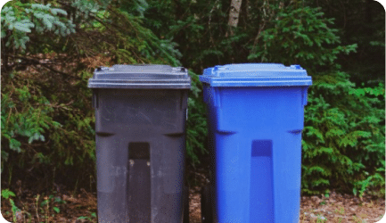 A black waste bin and a blue recycling bin placed side by side in front of a lush green background.