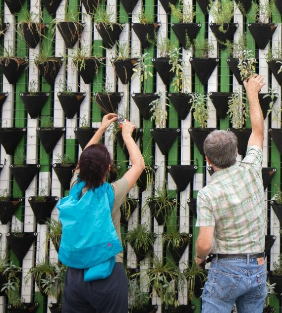 Two people maintaining a vertical garden with multiple black triangular planters.