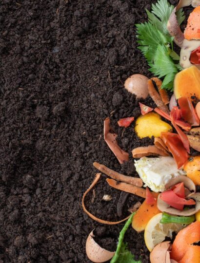 composting-vegetable-scraps-scaled
